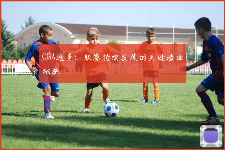 CBA选秀：联赛持续发展的关键造血细胞