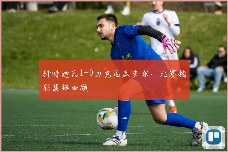 科特迪瓦1-0力克厄瓜多尔，比赛精彩集锦回顾